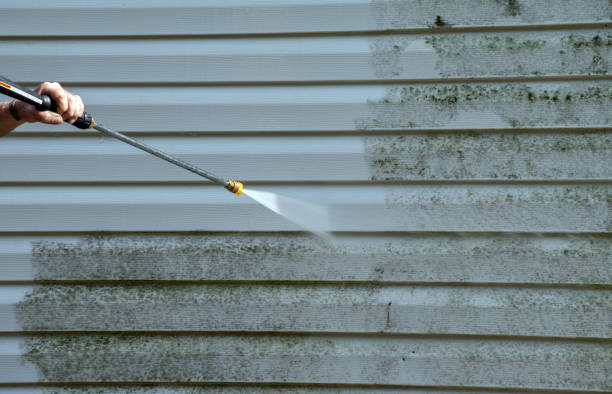 Best Gutter Cleaning  in Clearfield, PA